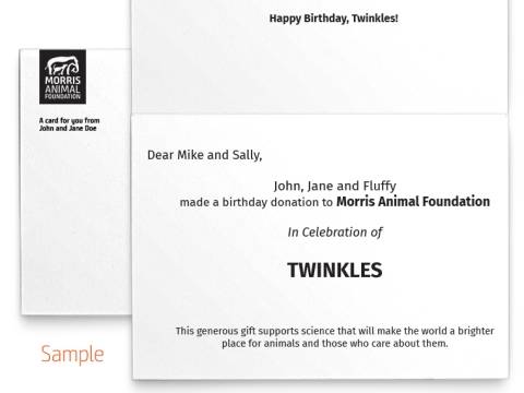 Image of inside of the Panda Photo Birthday Card with sample text