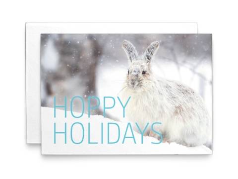 Image of the Holiday Card Wildlife