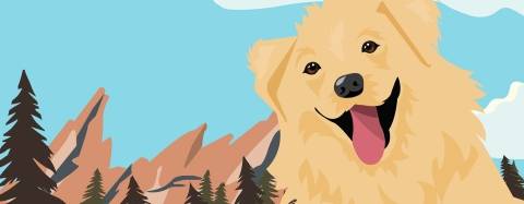 Golden Retriever Illustation