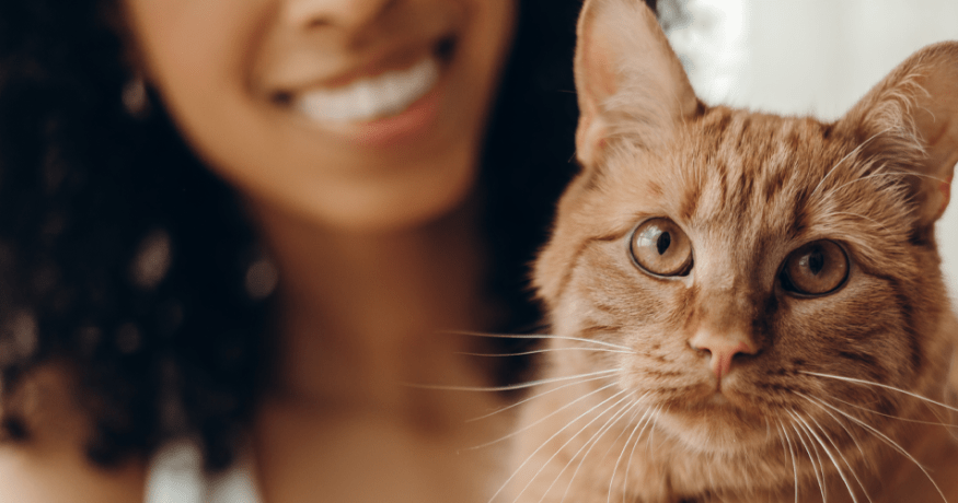 A smiling woman with curly hair holds an orange tabby cat close to her face. The cat, sharp in focus, looks directly at the camera while the woman smiles warmly in the background.