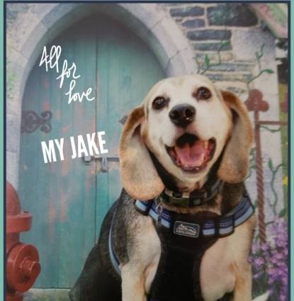 Jake Profile Image