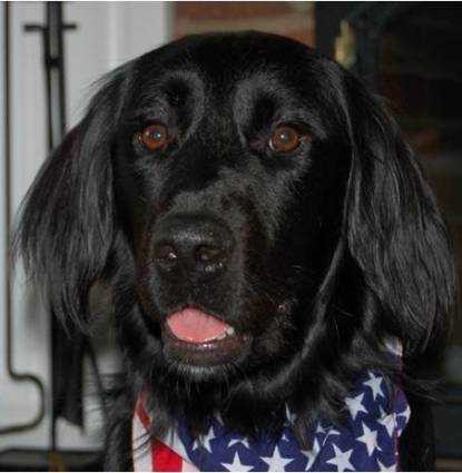 Owen Profile Image