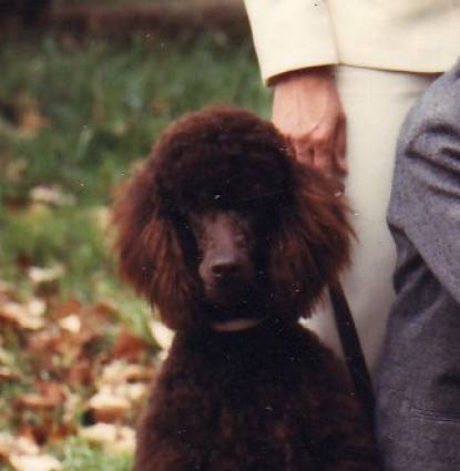 Tillie Profile Image