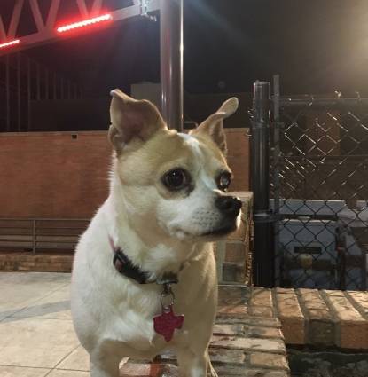 Sally Mae  Profile Image