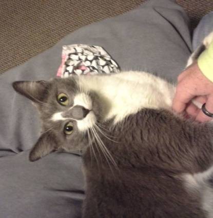 Louie Profile Image