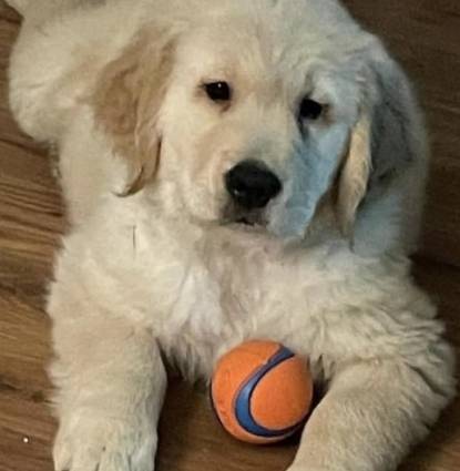 Tucker Profile Image