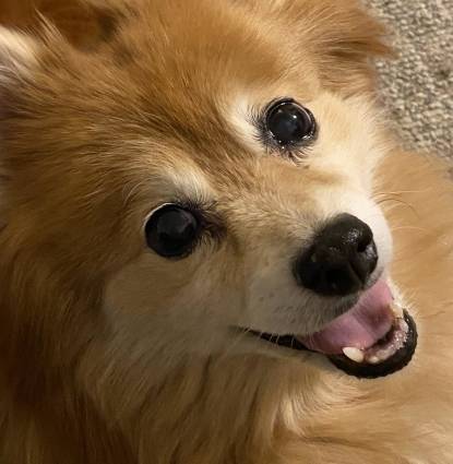 Harvey  Profile Image