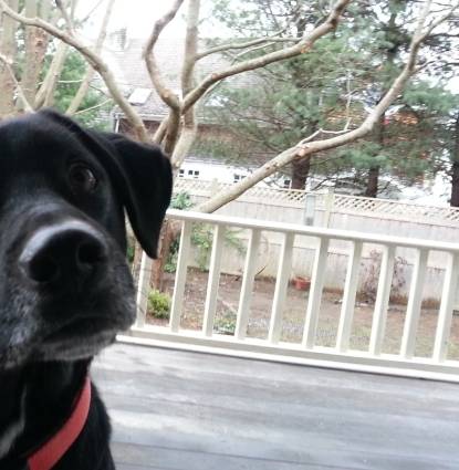 Pepper Profile Image