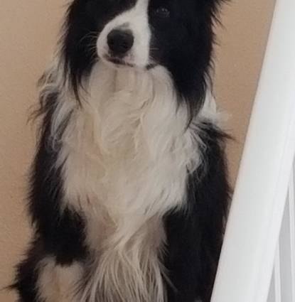 Jake  Profile Image
