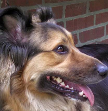 ROCKY Profile Image
