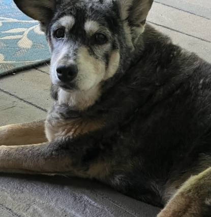 Nyla  Profile Image