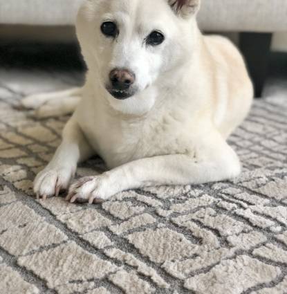Yuki Profile Image