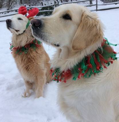 Annie & Ruby