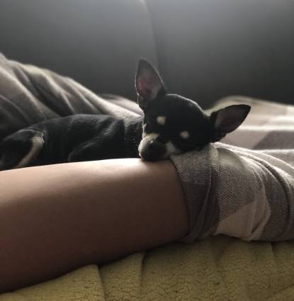 Toby Profile Image
