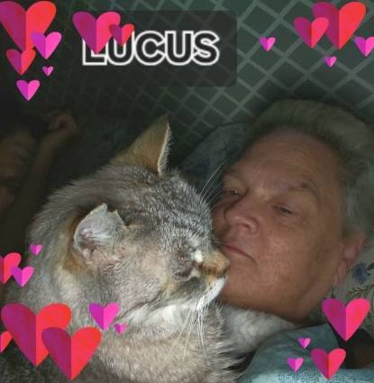 Lucus Profile Image