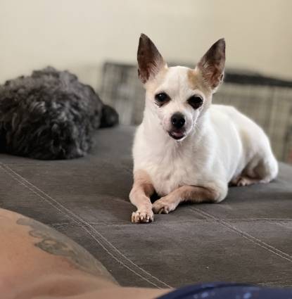 Coco Profile Image