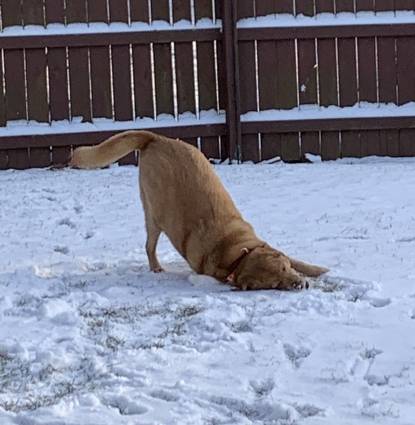 Cooper Profile Image