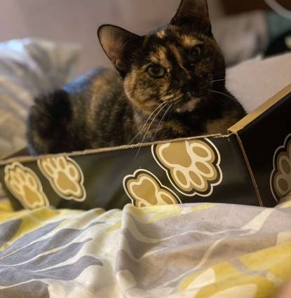 Bella Profile Image