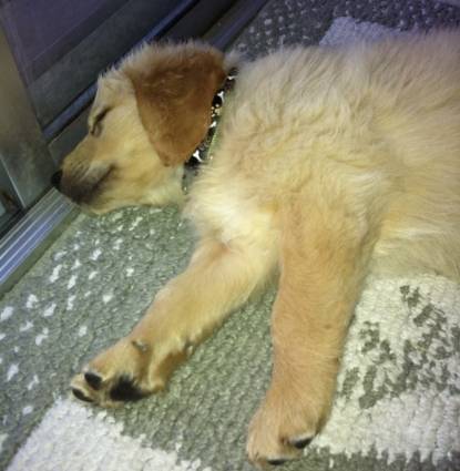 Cooper Profile Image