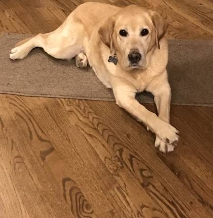 Remington Mae 