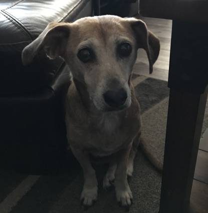 Annie Profile Image