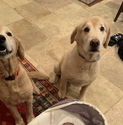 Lucy and Bailey Townsend  Profile Image