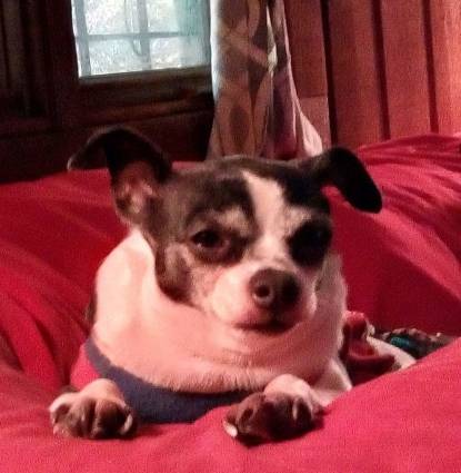 Bella Profile Image