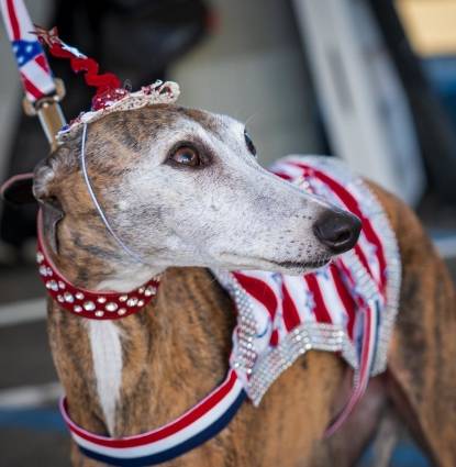 Gracie Mae Profile Image