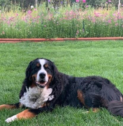 Barkley Profile Image