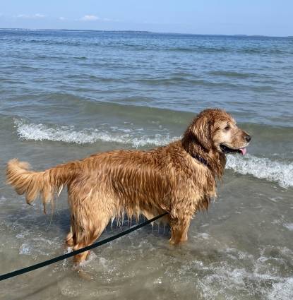 Finny Profile Image