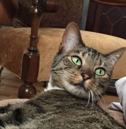 Bella Profile Image