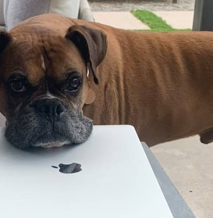 Buster Profile Image