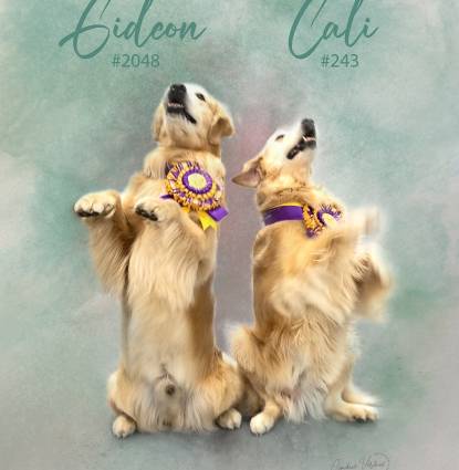 Cali & Gideon Profile Image