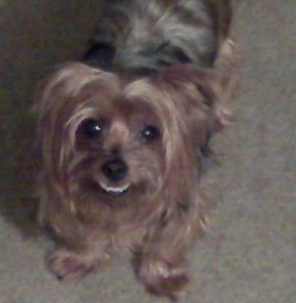 Taffy Profile Image