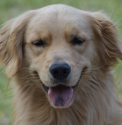 Atticus  Profile Image