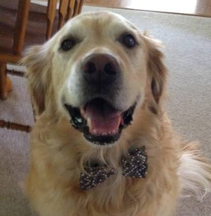 Duncan 