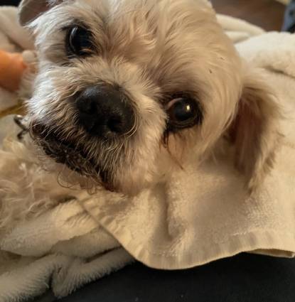 Rockee Profile Image