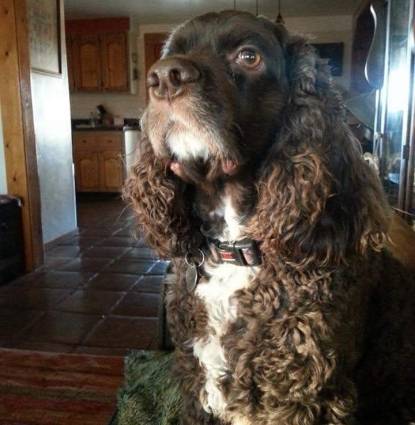 Charlie Profile Image