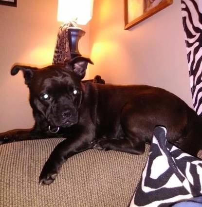 bella  Profile Image