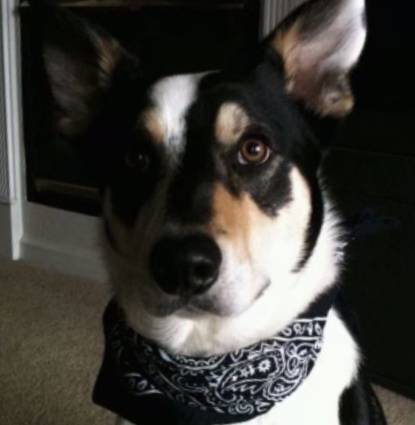 Wyatt Profile Image
