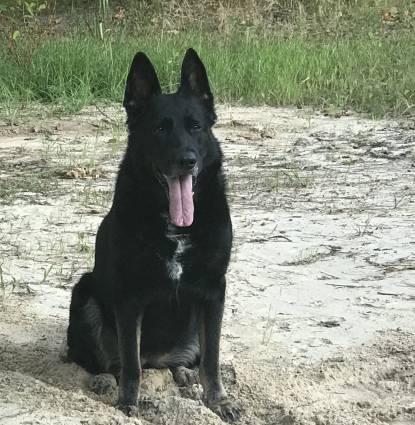 Bella Profile Image