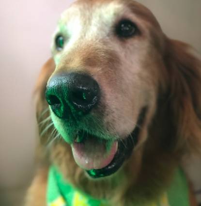 Finnegan
