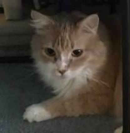 Fletcher Profile Image