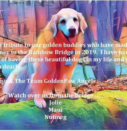 Friends of Team GoldenPaw 2019 Profile Image