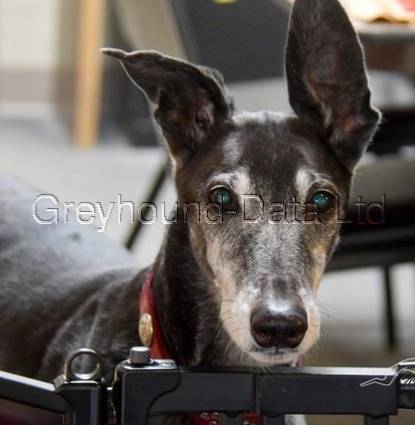 Gary Gityourown Profile Image