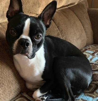 Rocky Profile Image