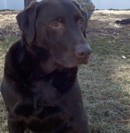 Jake Profile Image