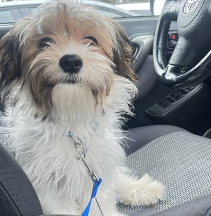Benji Profile Image
