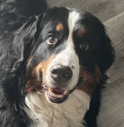 Maizy Profile Image