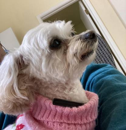 Miss Abbey Profile Image
